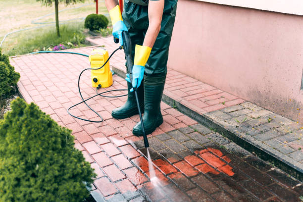 Animal Enclosure Cleaning in Fort Madison, IA